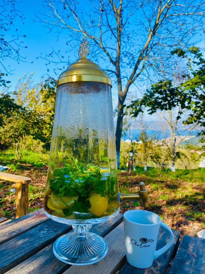 ספנג'ה Phalesia Glamping Otel מראה חיצוני תמונה