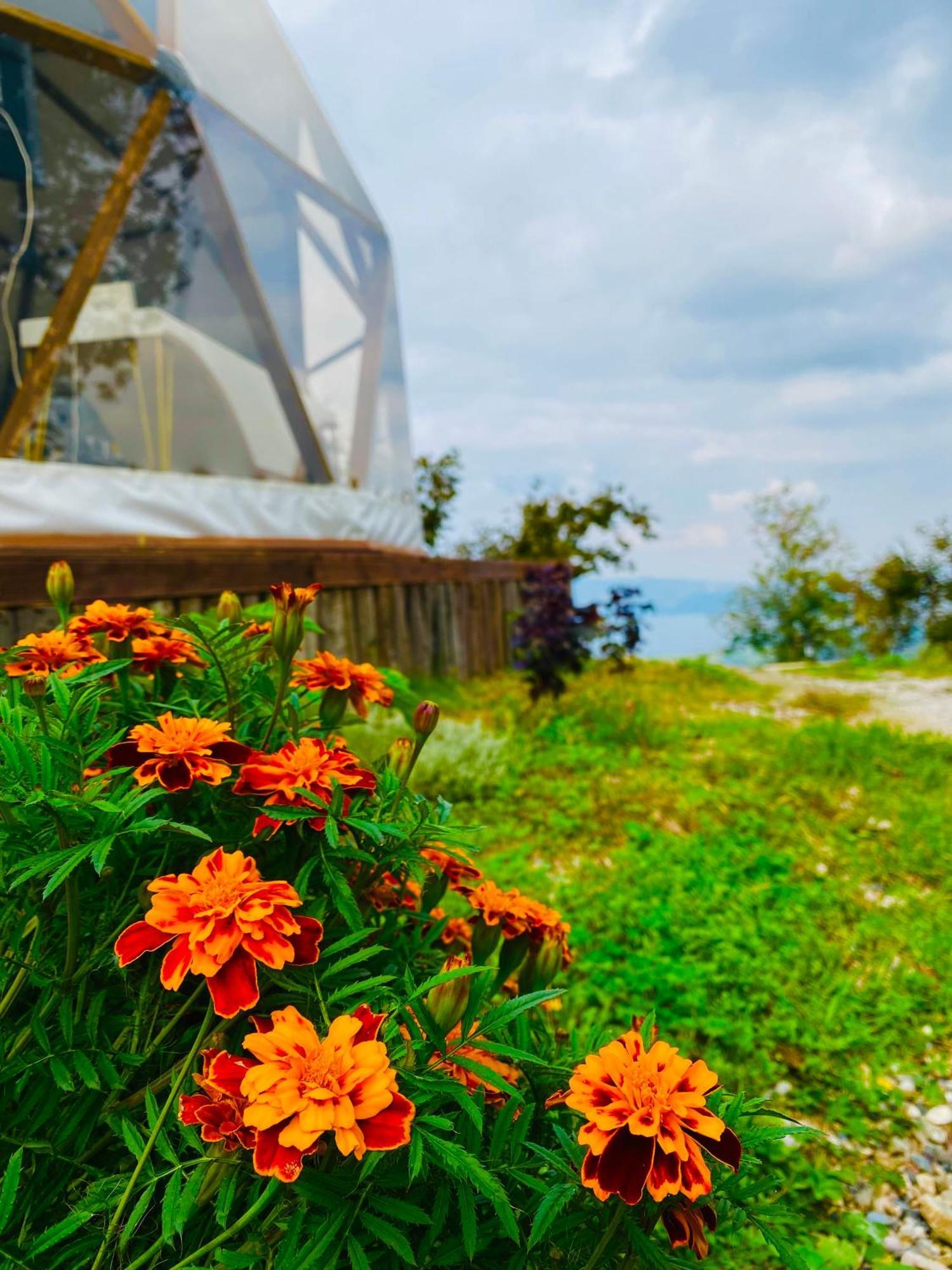 ספנג'ה Phalesia Glamping Otel מראה חיצוני תמונה